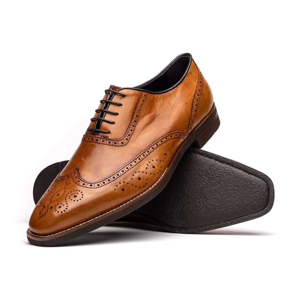 25-562-CML STEPHANO Wingtip Oxford Camel