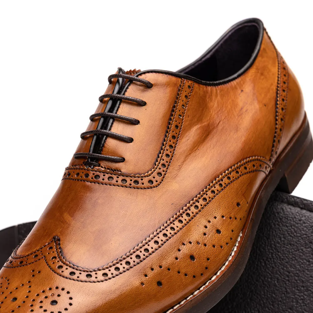 25-562-CML STEPHANO Wingtip Oxford Camel