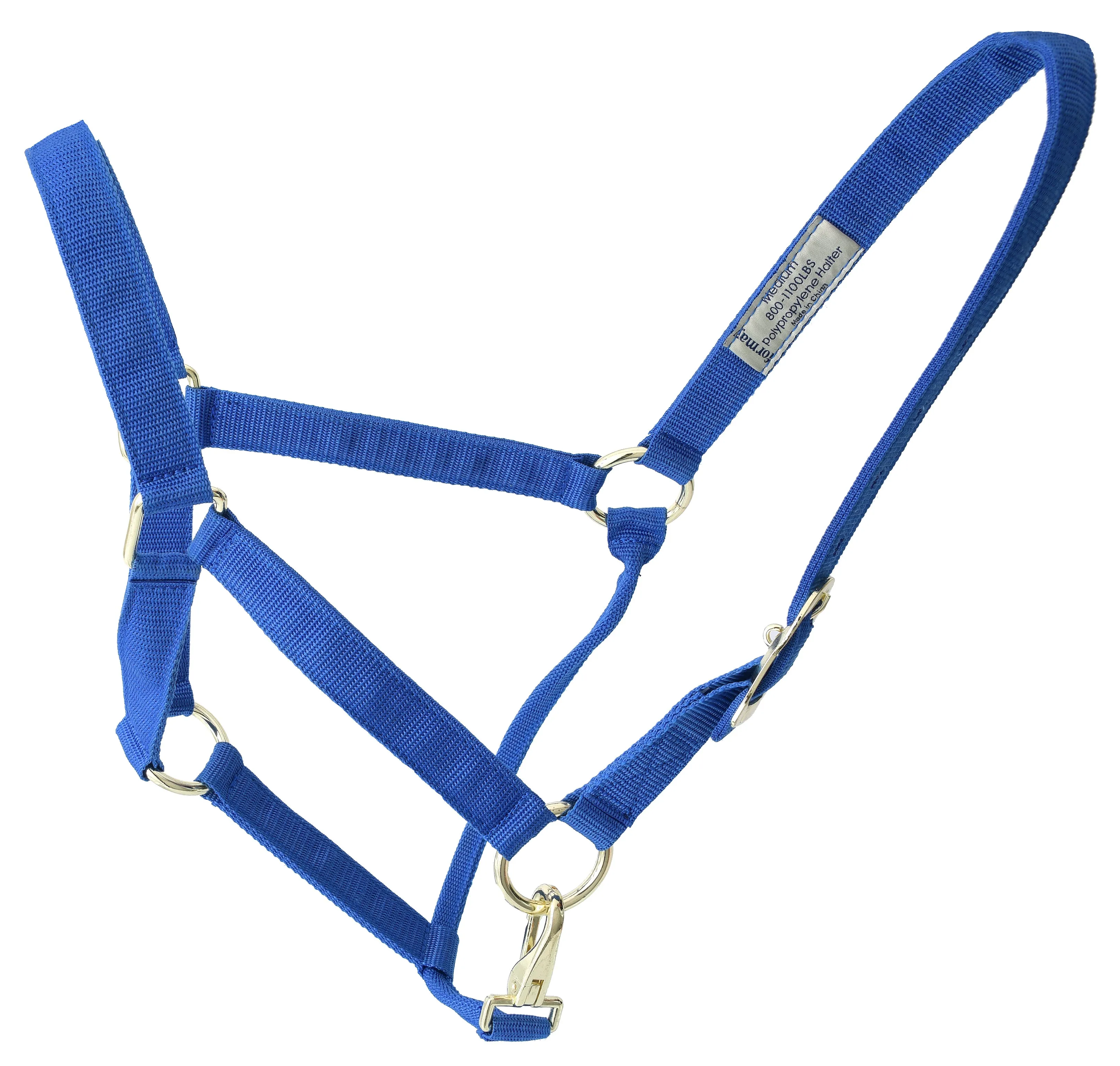 Amartigón Azul / Blue Halter